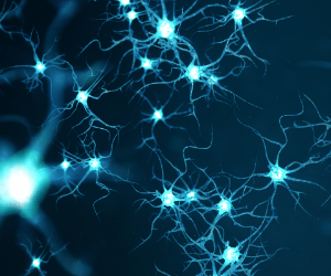 3-Feb-02-2021-08-29-29-00-PM