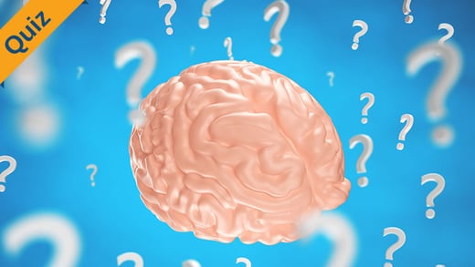 Brain-Trivia-thumbnail
