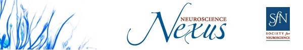 Neuroscience Nexus