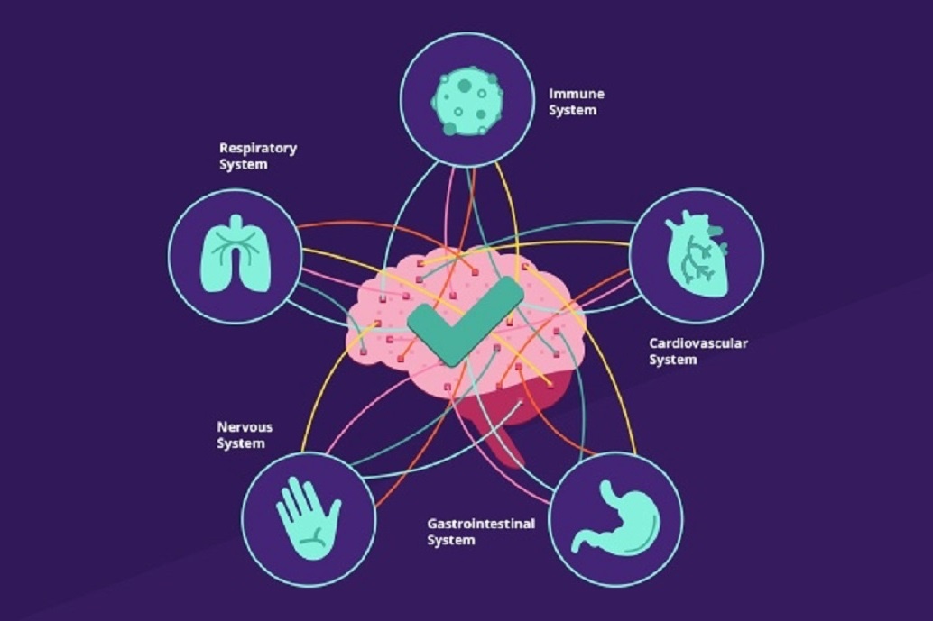 Learn to Explain the Wonders of the Brain